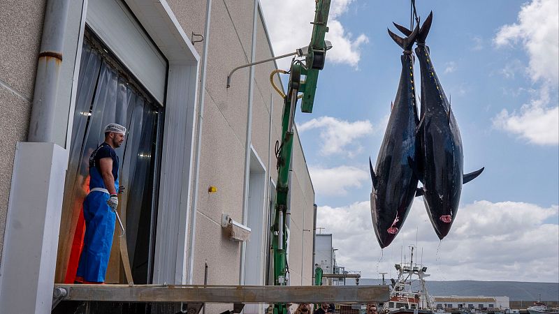 Diez minutos bien empleados - La huelga de los inspectores de pesca - 19/05/25 - Escuchar ahora