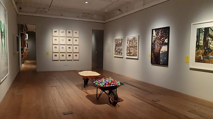 Arte contemporneo mexicano con la comisaria Ixel Rion Lora