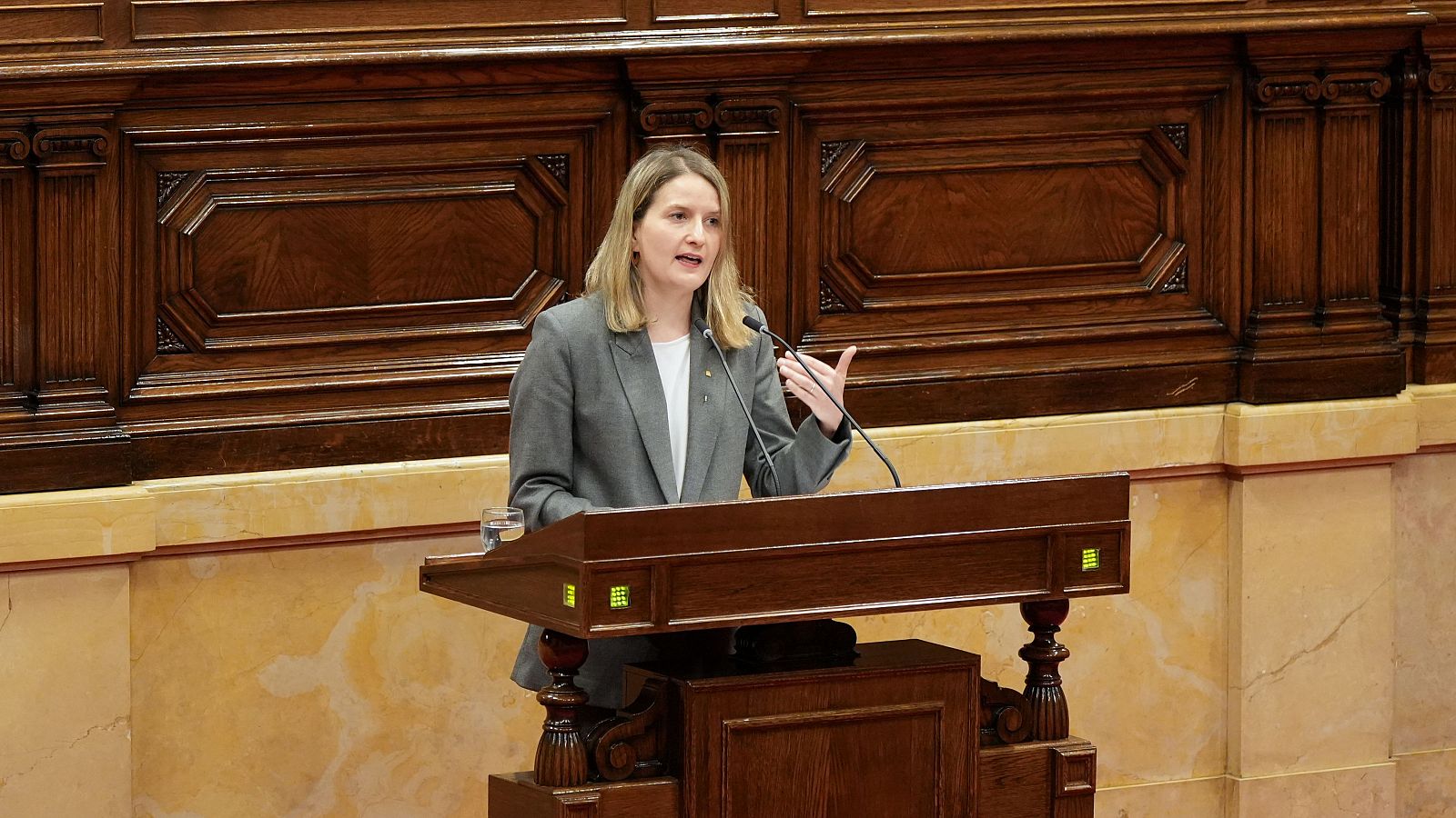 El Govern transformarà la DGAIA enfocant-se en la prevenció i sense gestionar ajuts