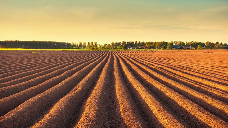 Mundo rural - Negociación entre la UE y Estados Unidos por lo aranceles - 28/05/25