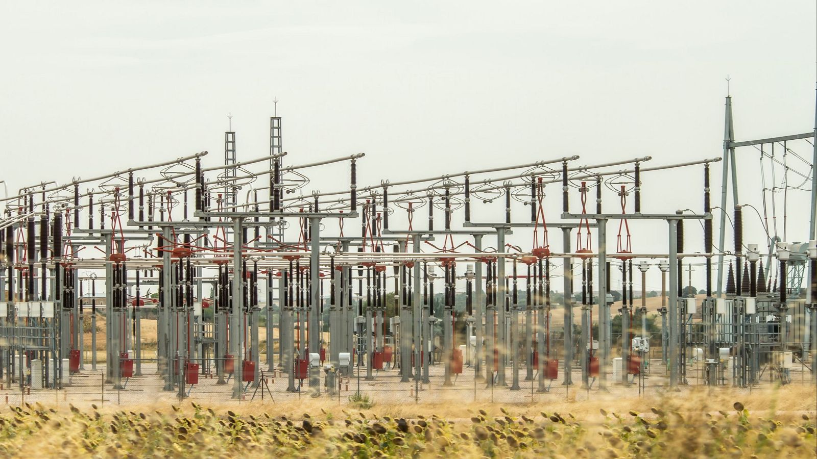 "Red Eléctrica debe ofrecer los datos para evitar polémicas que no benefician al sector" - Escuchar ahora