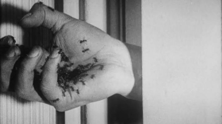 Mano con hormigas, fotograma en blanco y negro de textura granulada, perteneciente a un programa sobre Buñuel y Dalí.