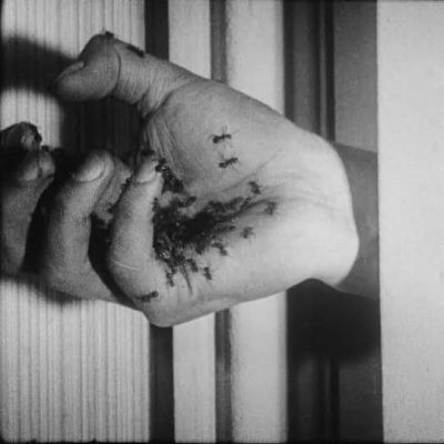 Mano con hormigas, fotograma en blanco y negro de textura granulada, perteneciente a un programa sobre Buñuel y Dalí.