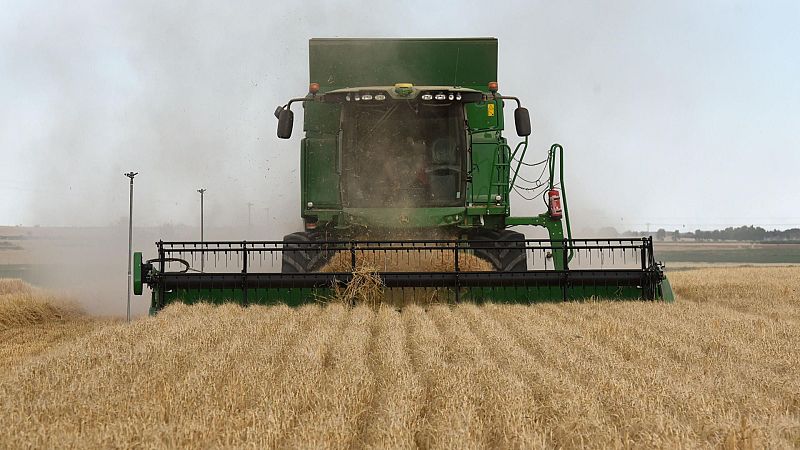 Los agricultores protestan por la situación "crítica" del cereal - Las mañanas de RNE | Escuchar