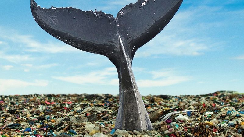 Reserva natural - Un amenazado océano centra el debate internacional en Niza - 12/06/25 - Escuchar ahora