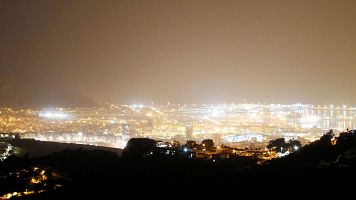 La contaminacin lumnica tambin afecta a las plantas