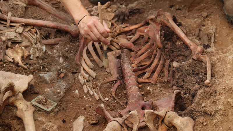 Recuperades les restes de 4 víctimes del franquisme a Castellnou de Bages | Nuria Alcalá