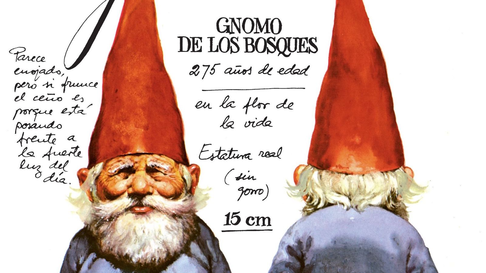 Fin de curso con los gnomos La estación azul de los niños: LEAN - Fin de curso con los gnomos - 21/06/25 - Escuchar ahora