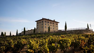 Premiumización y tradición marcan el futuro del vino español