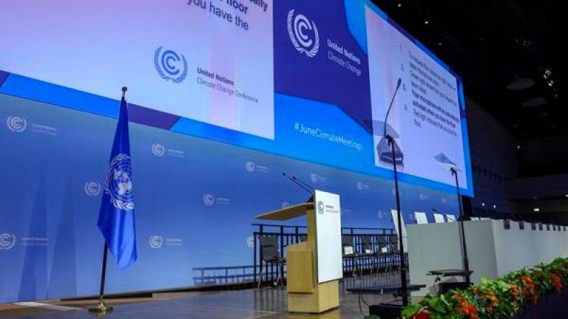 Cinco continentes - La ONU advierte del perjuicio del narcotráfico para el medioambiente