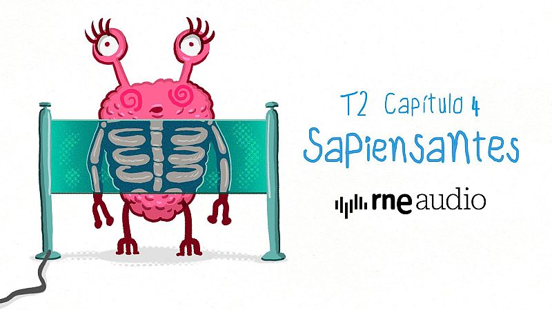 Sapiensates - ¿Cómo funcionan los rayos X? | RNE Audio - Sapiensantes | Escuchar