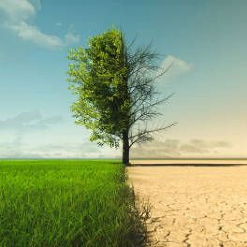 Europa abierta - Normas más flexibles en la UE para llegar a la neutralidad climática en 2050