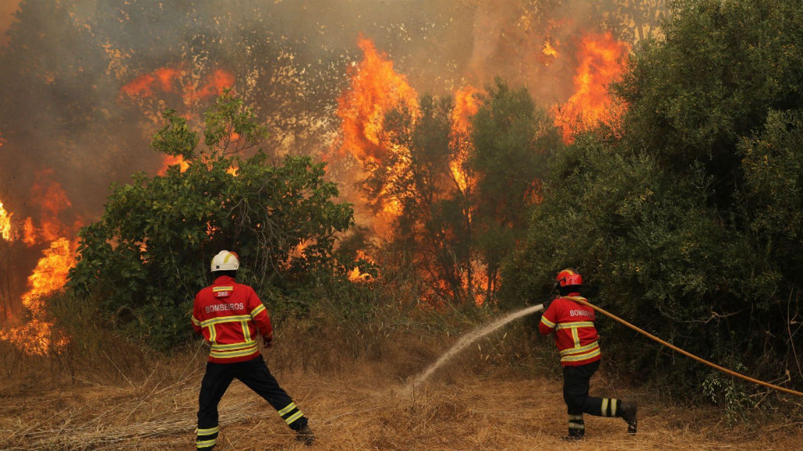 Els nous incendis sn ms perillosos