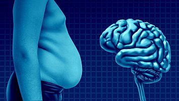 El ayuno intermitente protege el cerebro