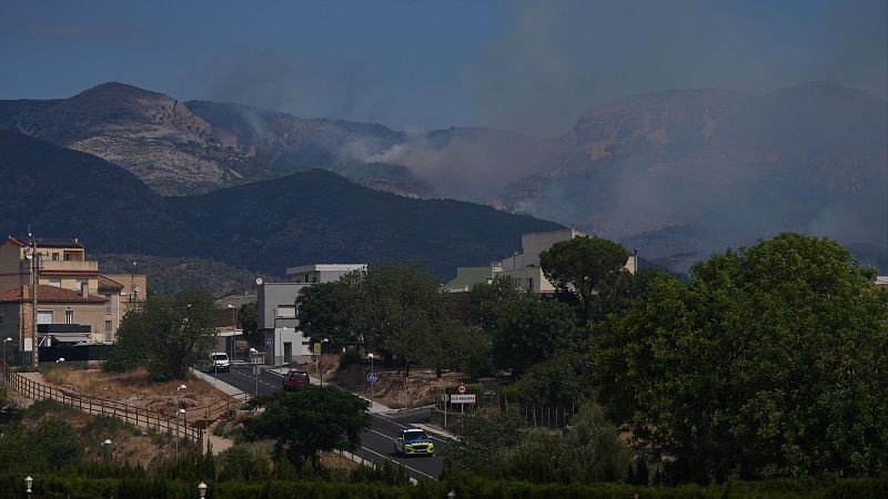 Las características de los incendios de alta intensidad: “Cada uno tiene su DNI”