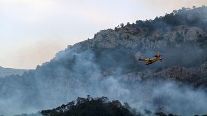 Vctor Resco: "Amb aquests incendis, noms estem veient un triler del mn que estem creant"