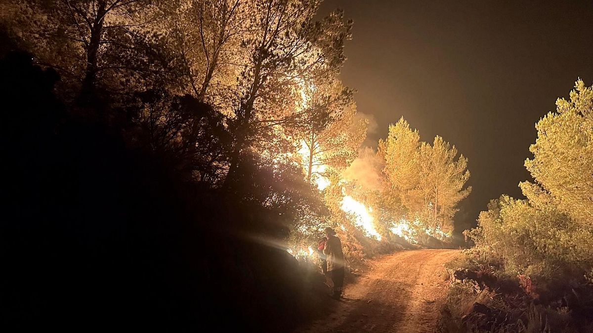 Wildfire season is here: causes and prevention mechanisms