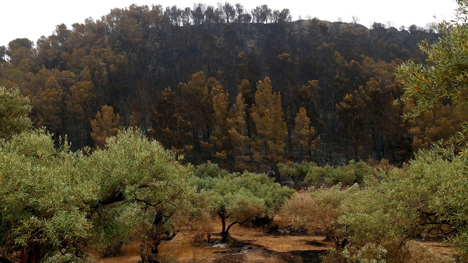 Dia de dol oficial per la mort d’un bomber en l’incendi de Paüls