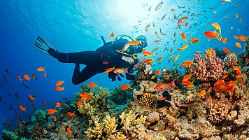Buceo recreativo: el turismo bajo el agua
