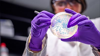 'Domesticar' el mundo microbiano para uso biotecnológico