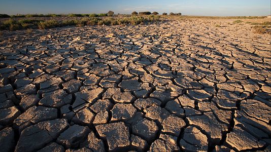 Conservar el suelo en España y el riesgo de desertificación