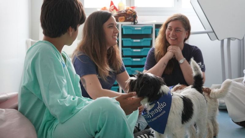 Educar para la paz - Perros que ayudan a mejorar la salud mental infantojuvenil - 19/07/25 - Escuchar ahora