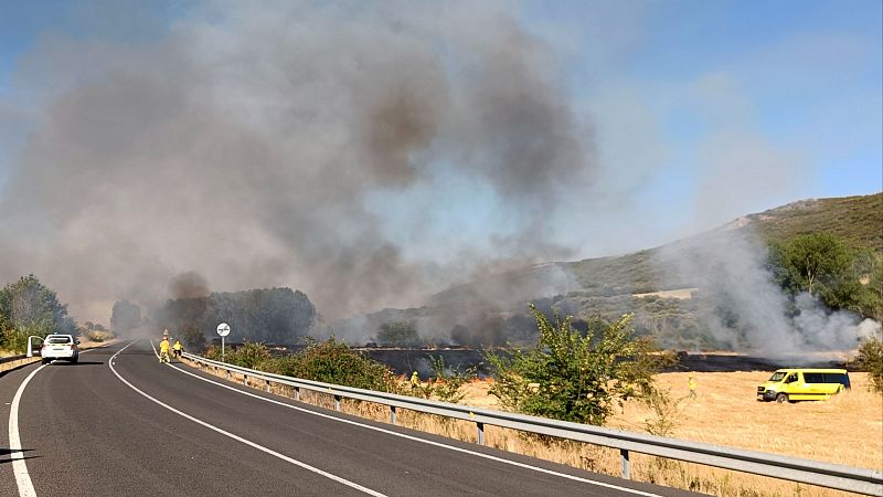 Guerrero (AEAFMA): "Cuando los incendios son cercanos a vías de comunicación apunta a que hayan podido ser provocados"