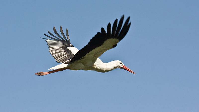 Les organitzacions agràries s'uneixen en contra les ZEPA de Ponent