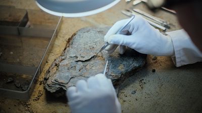 Un laboratorio paleontológico, otro motivo para ir a Loarre