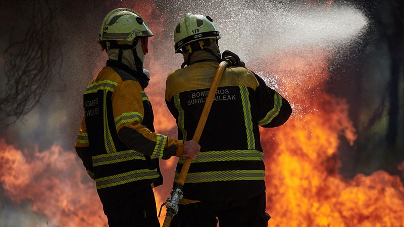 Altas temperaturas, mucha masa forestal y falta de gestión durante el invierno: el cóctel perfecto para incendios