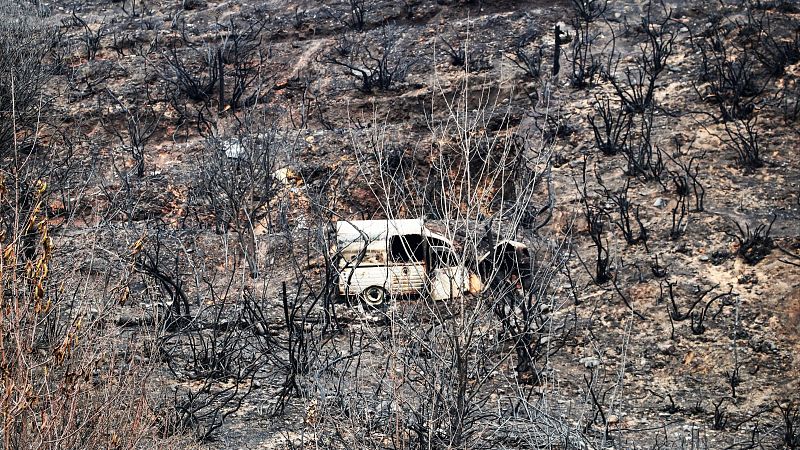La alcaldesa de Páramo del Sil, Alicia García, denuncia el estado de abandono que sufre el monte: "La falta de prevención es global" - Escuchar ahora