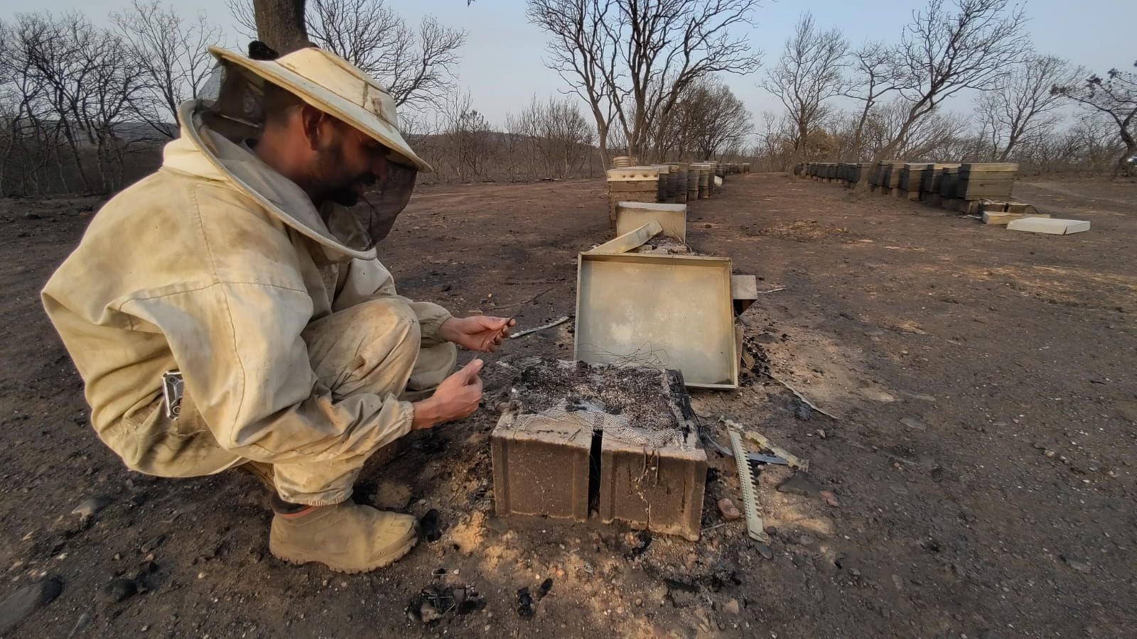 Las consecuencias de los incendios en el campo - Escuchar ahora