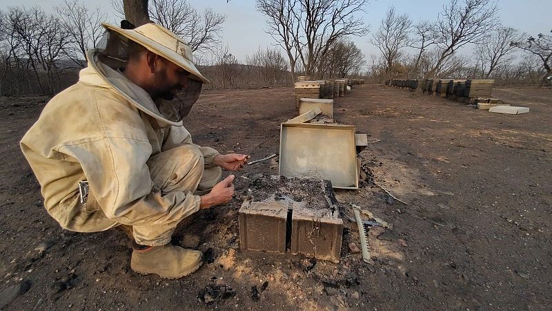 Las consecuencias de los incendios en el campo