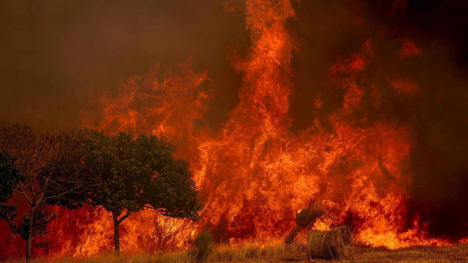Experta en cambio climático: "Antes los cambios eran ocasionales, ahora regulares" - Escuchar ahora