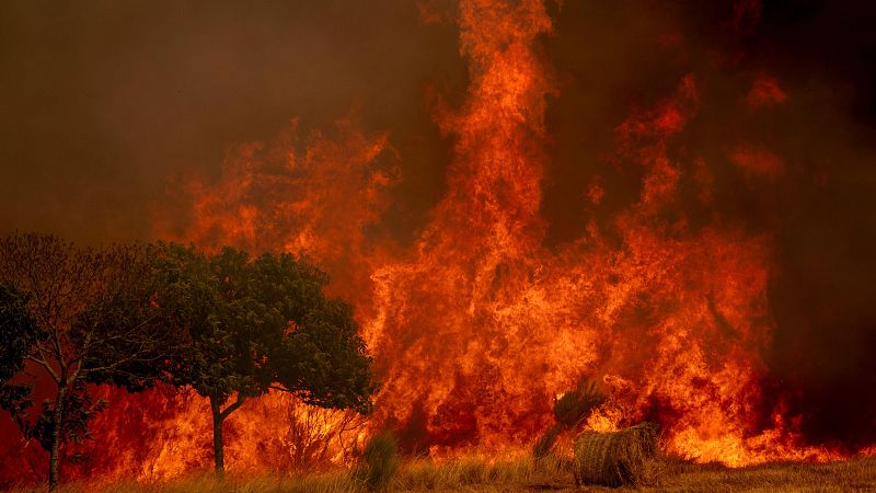María José Sanz Sánchez, directora científica del Basque Centre for Climate Change y miembro del Panel de Expertos sobre el Cambio Climático: "Antes los cambios eran ocasionales, ahora regulares"