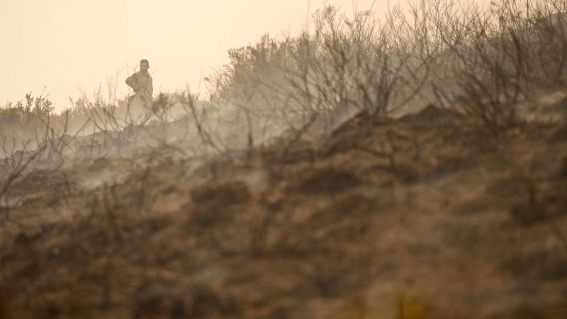 María José Artuch (VerificaRTVE), sobre los bulos relacionados con los incendios: "Podemos hablar de un goteo diario"