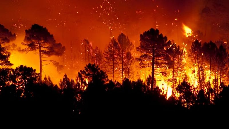 "El reportaje": Los incendios del verano