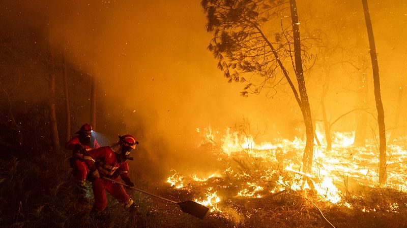 ¿Cómo investiga el SEPRONA el inicio de un incendio forestal?
