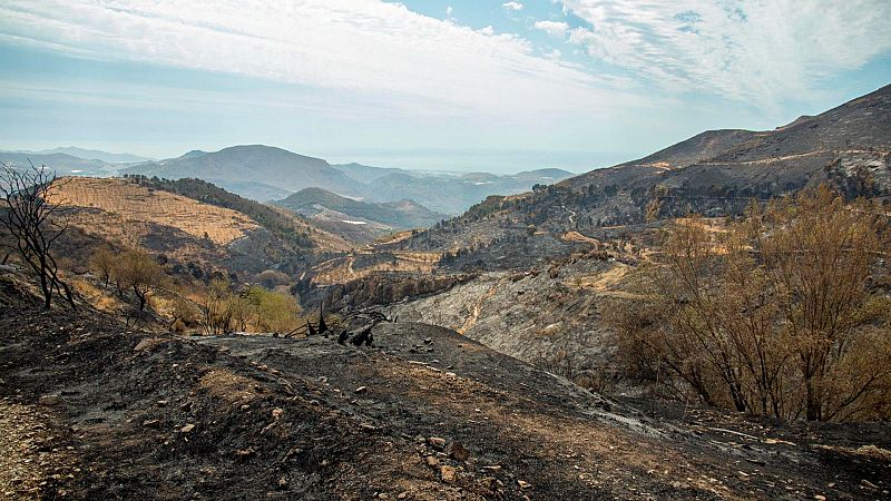 Mundo rural - Declaración de zona catastrófica por los incendios - 29/08/25 - Escuchar ahora