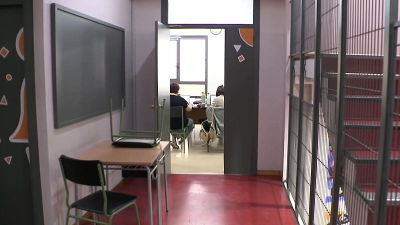 Novetats del nou curs escolar: prohibició dels mòbils a les aules, menys alumnes i més professors