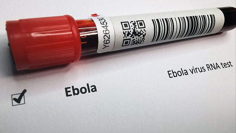 Nuevo brote de ébola causa 16 muertos en RDC - África hoy | Escuchar