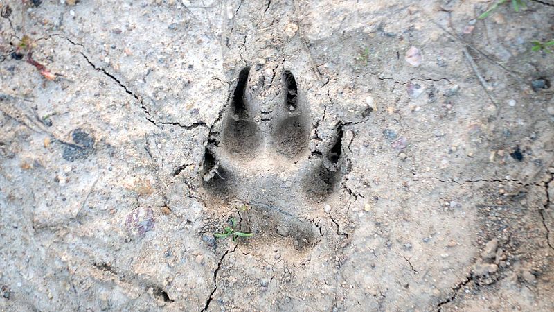 Espacio en blanco ? Rastreador - 07/09/25 - Espacio en blanco | Escuchar