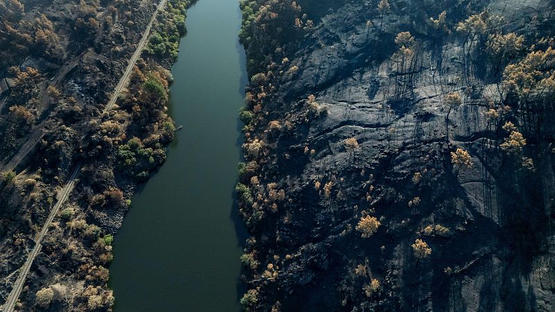 El efecto de las lluvias en las zonas afectadas por los incendios