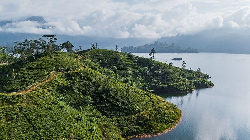 RAE Informa - La «s» líquida - 22/09/25 - Escuchar ahora