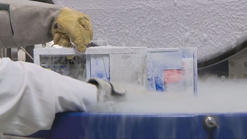 Creix un 11% la xifra de donacions de medul·la òssia