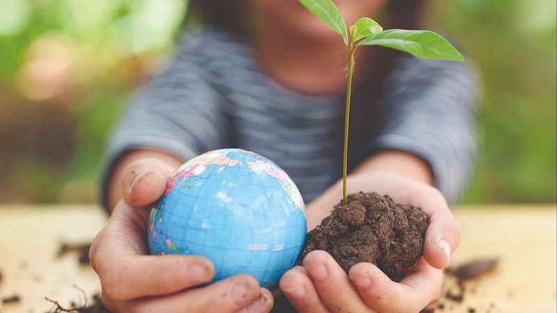 Espacio iberoamericano - Formación y cambio climático: claves hacia la COP30 - 23/09/25