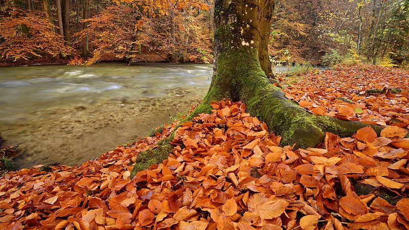 L'AEMET preveu una tardor càlida amb pluges habituals