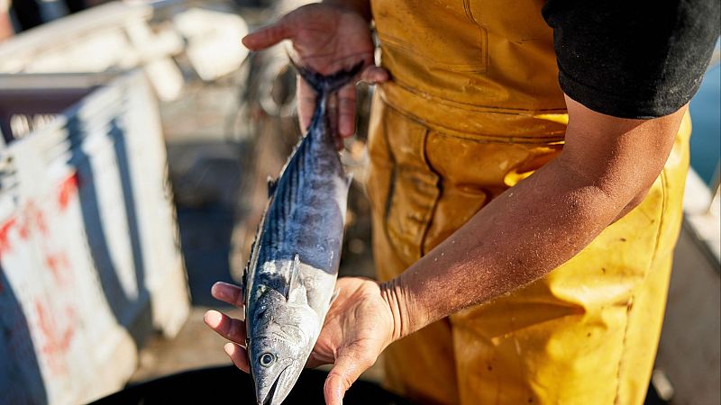 Mundo rural - Retos del consumo de pescado - 26/09/25