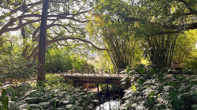 Escapadas - Un jardín subtropical en España - 02/10/25 - Escuchar ahora