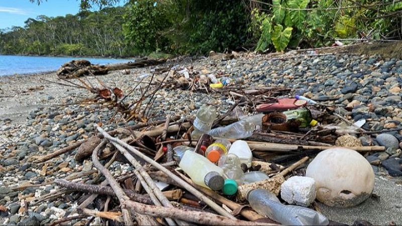 Reportajes 5 Continentes - El problema de los plásticos en América Latina - Escuchar ahora